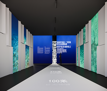 展覽類型：專題展覽展覽位置：中國（海南）南海博物館6號展廳深藍寶藏——南海西北陸坡一二號沉船考古成果特展展覽緊緊圍繞兩處沉船遺址的發現、調查、初步研究成果、拓展延伸、文物保護等方面，精選兩處沉船遺址考古出水文物約408件（套），并向故宮博物院等五家文博單位借展相關文物34件（套），共計約442件（套），配以圖文版面、情境設計、文物保護過程展示等手段，讓人通過珍貴的出水文物、水下影像和考古故事，了解南海水下考古的重要發現，感受古代海上絲綢之路的歷史魅力。 點擊進入